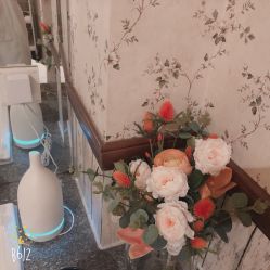 -贝黎诗SPA