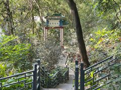 -顺峰山公园