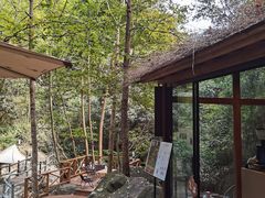 -宁波五龙潭景区