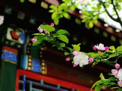 -安定门(地铁站)