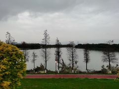 -鹤之洲湿地公园