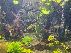 -常州海昌海洋探索馆