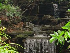 -水濂山森林公园