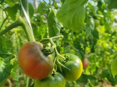 -岐口老刘海鲜(金港购物中心店)