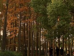 -月湖风景区