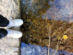 -宁波浙东大竹海景区