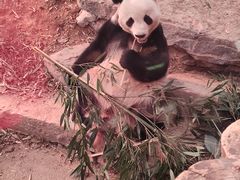 -济南野生动物世界