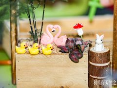 -利星行天竺之星汽车有限公司