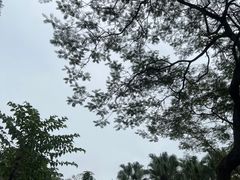 -晓港公园