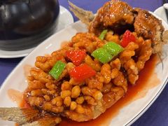 -金龙寨(龙城路店)