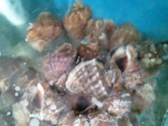 -聚德福海鲜家常菜(刘庄店)