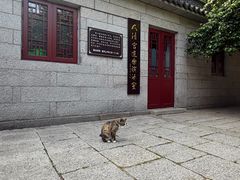 -青岛崂山太清宫
