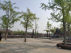 -大雁塔北广场音乐喷泉