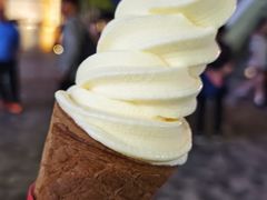 -富豪雪糕车流动点(尖沙咀店)