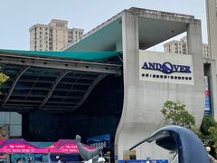 -合肥海洋世界