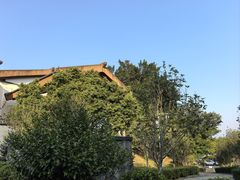 -英德宝晶宫天鹅湖茶语温泉