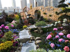 -重庆市江北嘴中央商务区中央公园