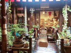 -两棵枇杷树