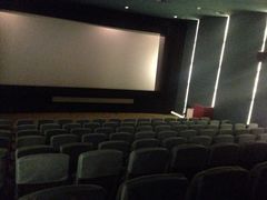 iphone_upload_pic-大光明电影院(南京西路店)