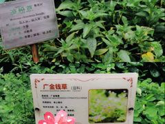 -广州神农草堂中医药博物馆