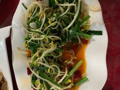 -马白开来特色羊排揪片子  (总店)