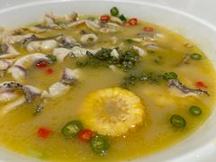 -青花椒花椒鱼(合生汇店)