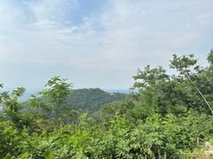 -句容茅山景区