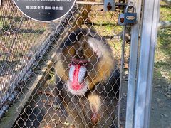 -哈尔滨北方森林动物园