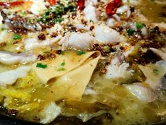 -三天打鱼(奥体店)