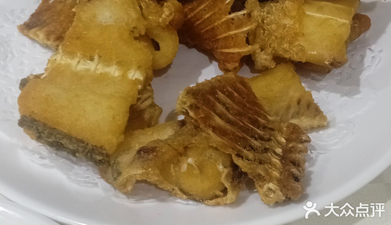 鱼生界的绝绝子