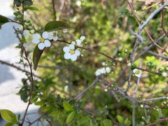 -白塘生态植物园
