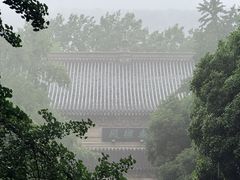 -灵谷景区