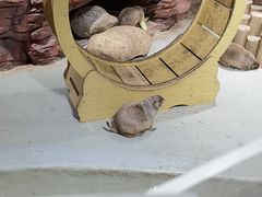 -正佳雨林生态植物园