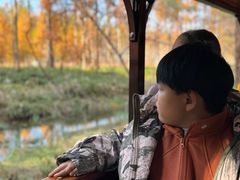 -黄海国家森林公园