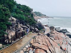 -广东惠东海龟国家级自然保护区