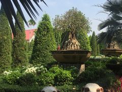 -东芭乐园