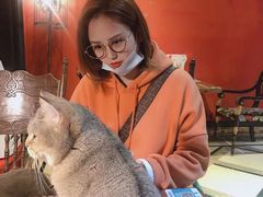 -猫色咖啡·猫咖