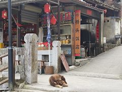 -初溪土楼群