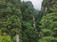 -苍山感通索道