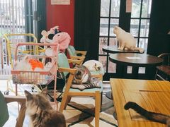 -猫色咖啡·猫咖