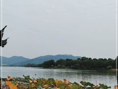 -湘湖大院(越王路店)