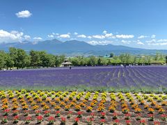 -富田农场