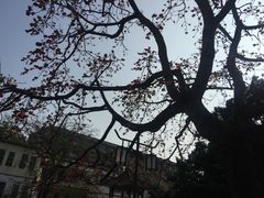 -黄埔古港
