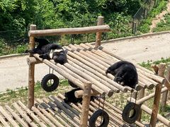 -大连森林动物园