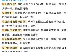 -长沙火车站(地铁站)