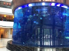 -佛山希尔顿酒店·融誉亚洲美食荟