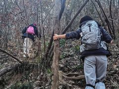 -紫金山山顶公园