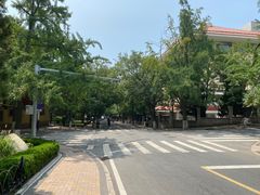 -八大关景区