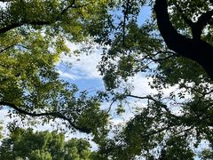 -共青国家森林公园-南大门停车场