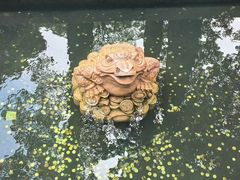 -青岛崂山太清宫